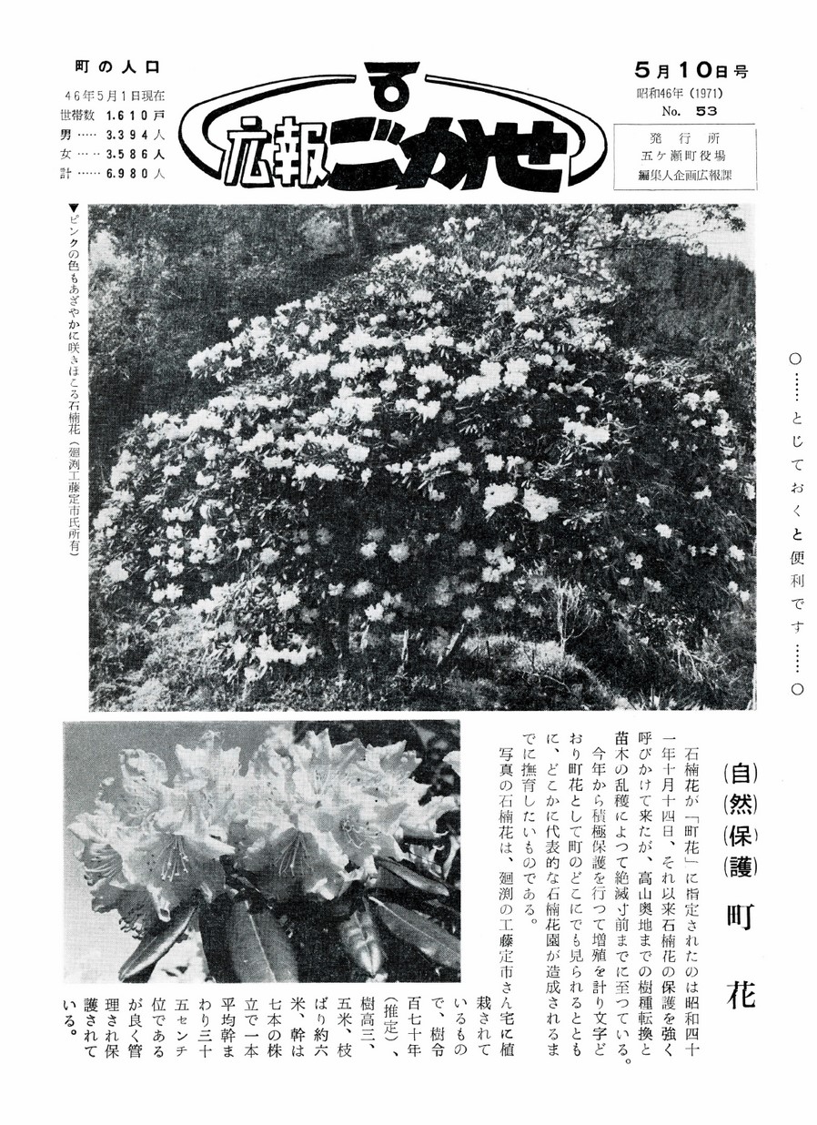 広報ごかせ　No.53　1971年5月10日号の表紙画像