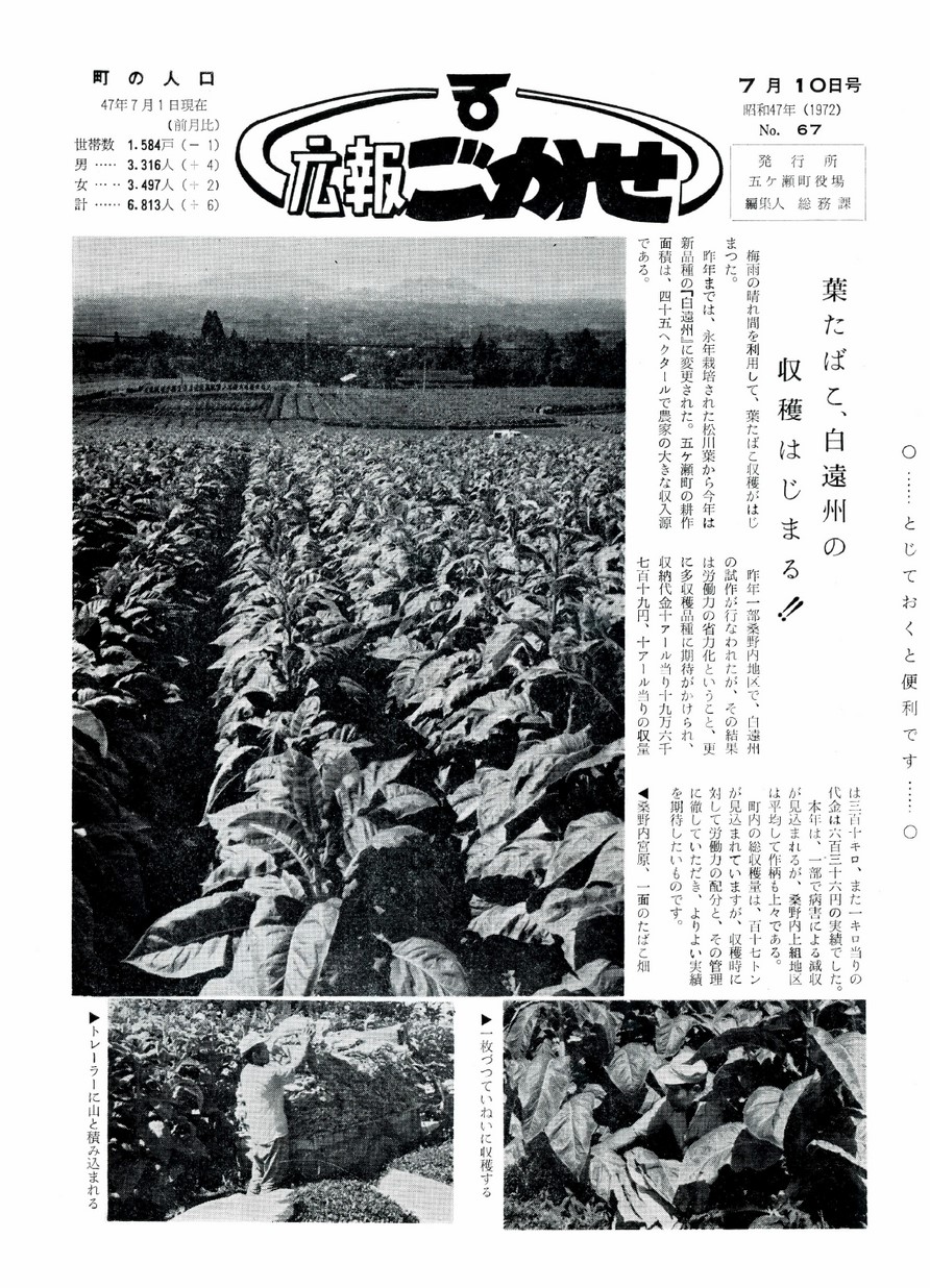 広報ごかせ　No.67　1972年7月10日号の表紙画像